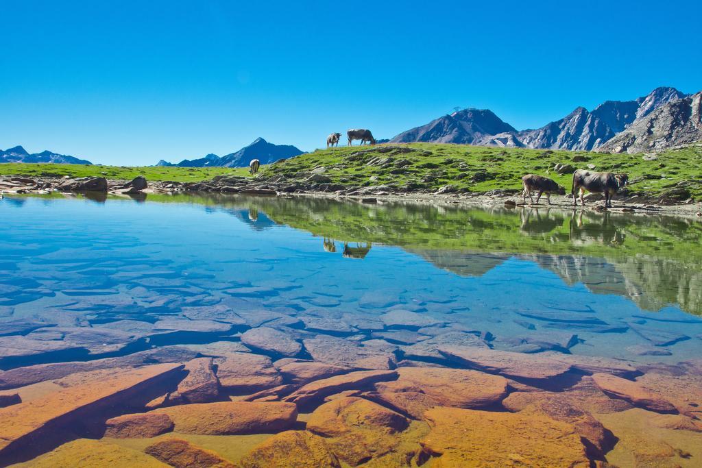 Apart Auszeit Sölden Buitenkant foto